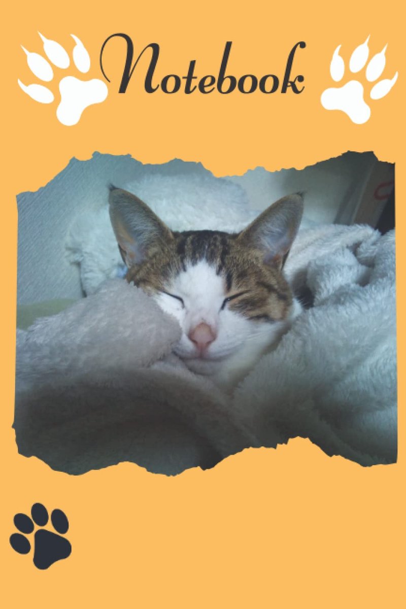 Cheche is satisfied: (Notebook, Journal) 6x9 120 blank lined pages