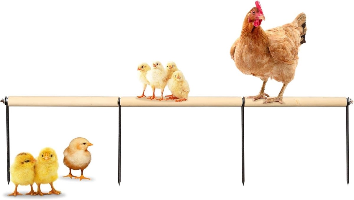 Extra lange zitbalk voor kippen van vurenhout met metalen grondpen, ideaal voor buitentraining en kippenhokaccessoires voor grote vogels en papegaaien