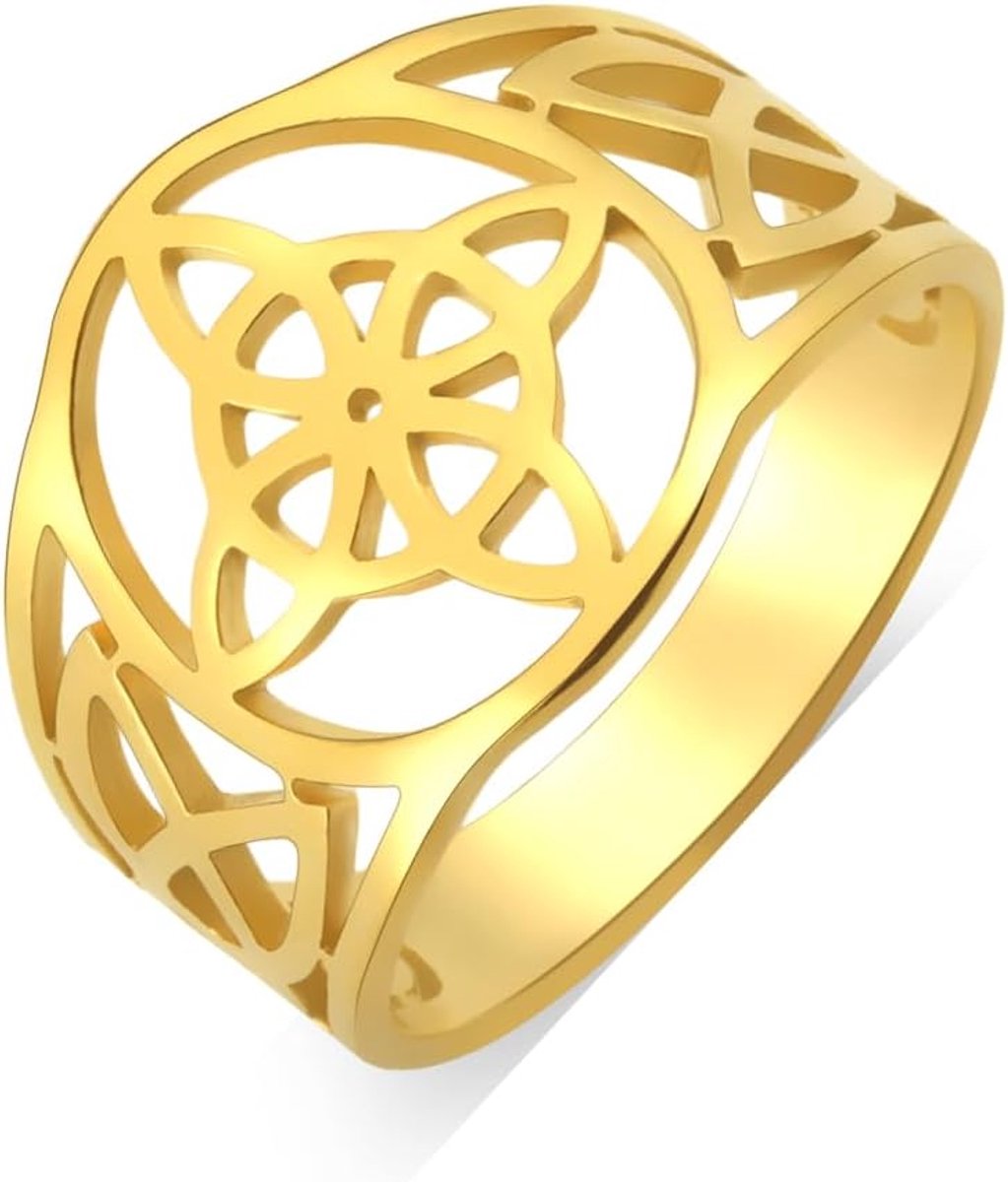 Heksenknoopring, Keltische amulet ring, roestvrij staal, Keltische geometrische knoop, vintage sieraden, stapelbare ring, Ierse sieraden, geschenken voor vrouwen