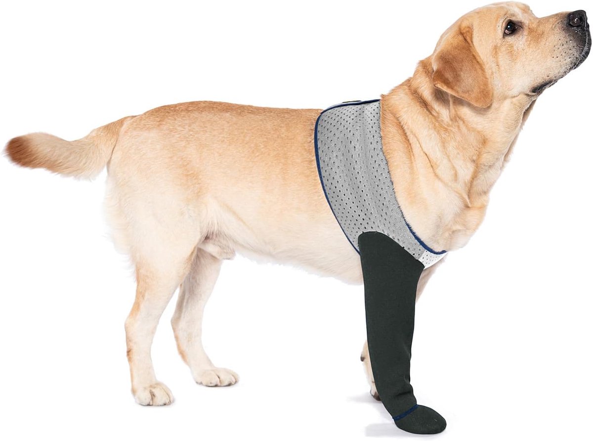 Hondensokken om likken van poten te voorkomen, genezende laarzen en pootbeschermers met antislip bodem voor wondbescherming, waterdichte mouwschoenen om te likken (Grijs, L_Rechts)