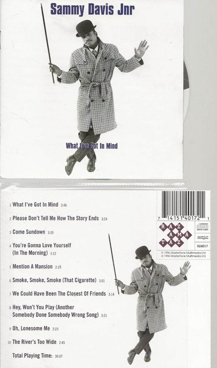 WHAT I'VE GOT IN MIND - SAMMY DAVIS JR