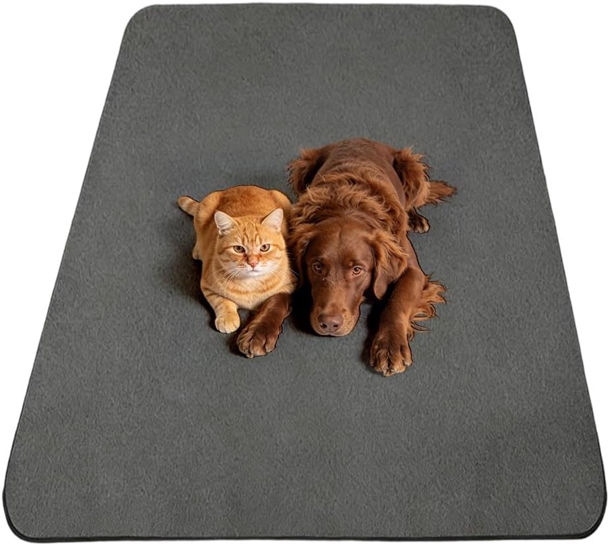 SnelShoppen - Cleany Mat Hond Pinkel Mat voor Honden, PIPI Matten voor Honden & PIPI Pads Meerschweinchen - Waterdicht, Sneldrogend, Wasbaar voor Inco