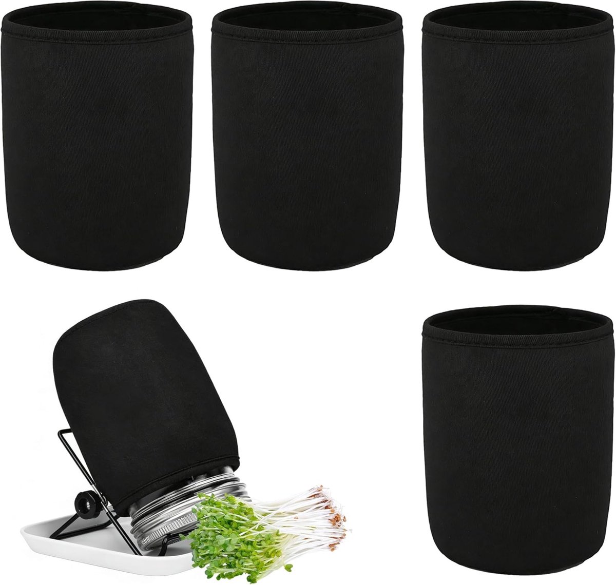 Pack of 4 Sprouted Glasses Resistant Light Darkening Glass Germination Cultivation Glass Preservative Shady Seeds - ShopVlot