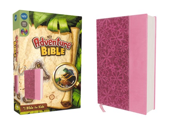 Adventure Bible, NIV - cover