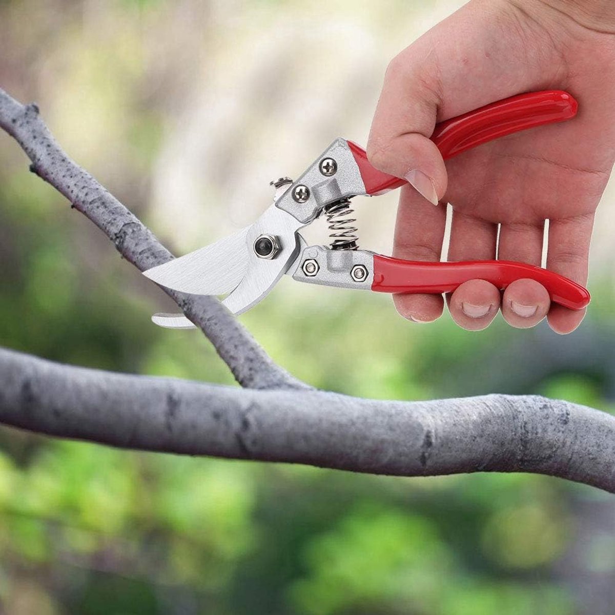 Tuinschaar - Takkenschaar - Efficiënt Snoeien - Sapgoot Ontwerp - 28 cm - Rood