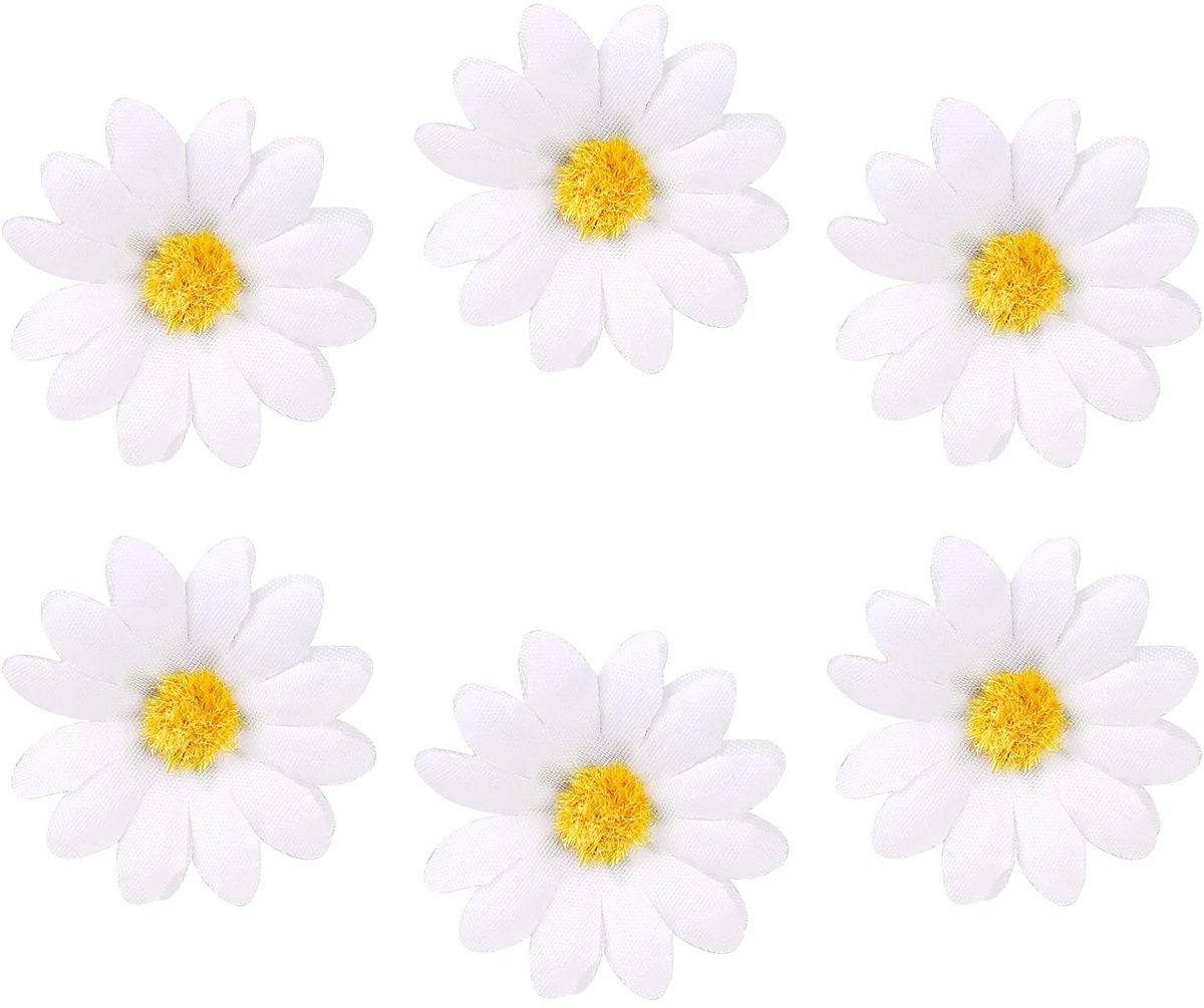 Thijox - 6 stuks Gänseblümchen haarspelden, schattige bloemen haarclips, kleine haarklemmen, witte haarsieraden voor dames, ideaal voor feest, dagelij