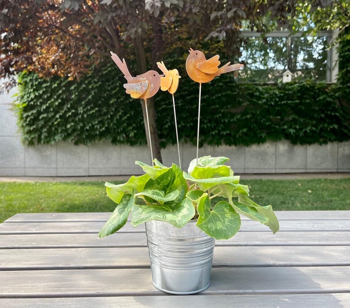 Dailygoods- Tuinkappen - 3 Stuks Vogeldecoratie - Tuindecoratie Metaal - Robuust en Duurzaam - Afmetingen 12 cm x 30 cm - Ideaal voor Balkon en Tuin