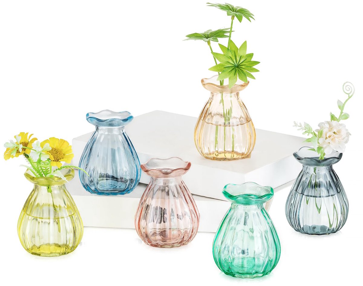 SnelShoppen - Kleine Glazen Vazen voor Tafeldecoraties - 6 Stuks Gekleurde Vazen voor Bloemen Planten en Boeketten - Perfect voor Thuis, Woonkamer en