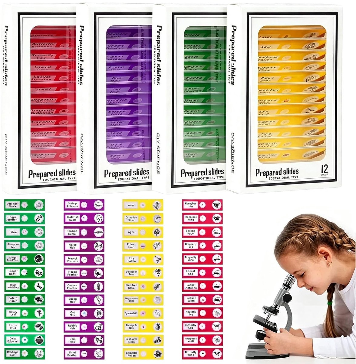 Set van 48 microscoopmessen voor onderwijs - Microscoop diafragma bladen voor insecten, dieren, bloemen en planten