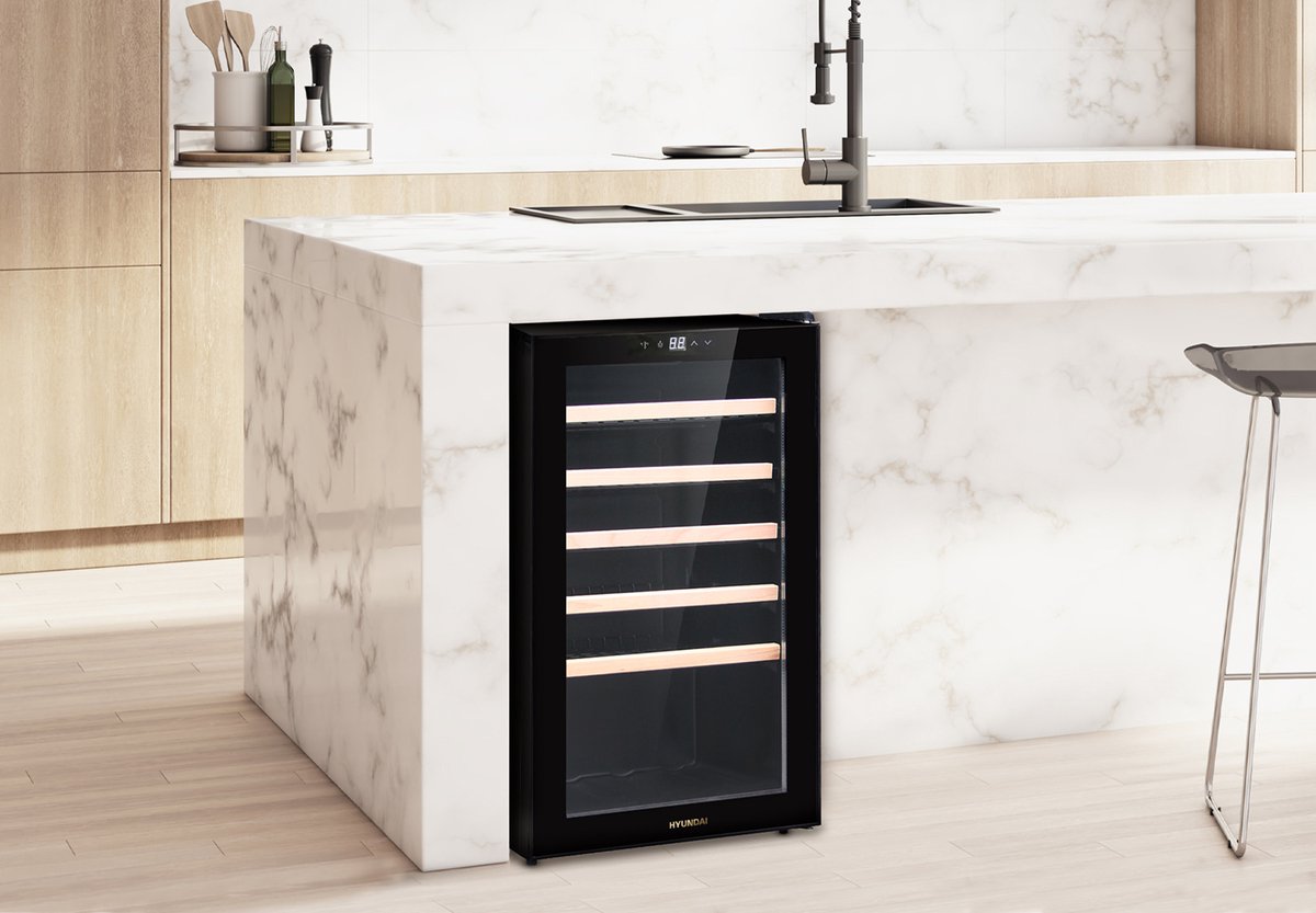 HYUNDAI - WINE EXPERT - Wijnkoelkast - 41 Flessen - 91 Liter - Zwart – foto 6