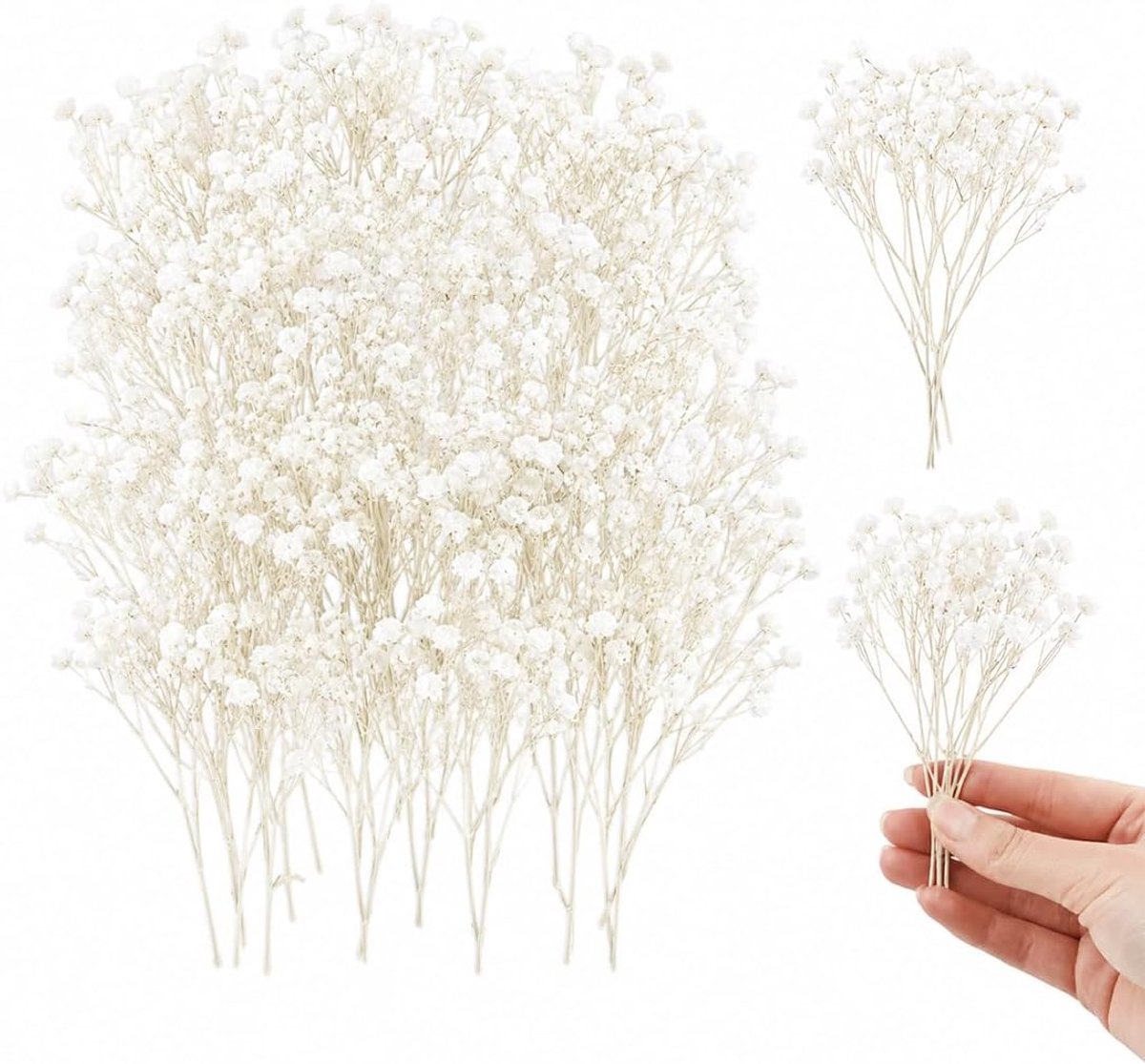 Gedroogde gypsophila, natuurlijk, wit, gedroogde bloemen voor decoratie, mini natuur, voor knutselwerk met hars en bruiloften