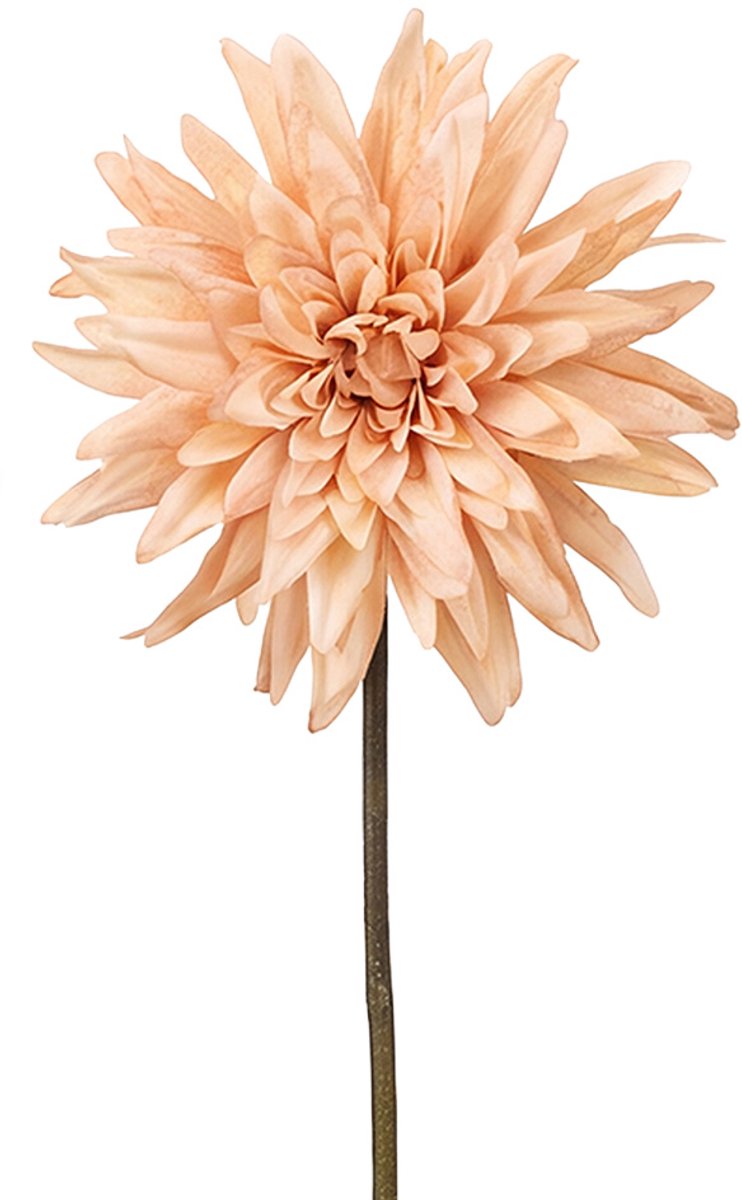 Clayre & Eef Kunstbloem Beige Kunststof