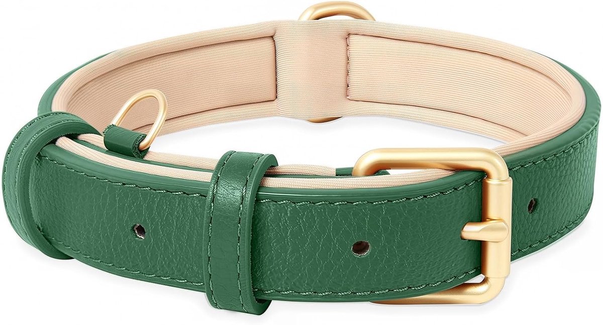 SnelShoppen - HEELE Soft Leather Dog Collar voor Kleine Honden - Ademend Leren Halsband met D-ring, Verstelbaar, Groen, S