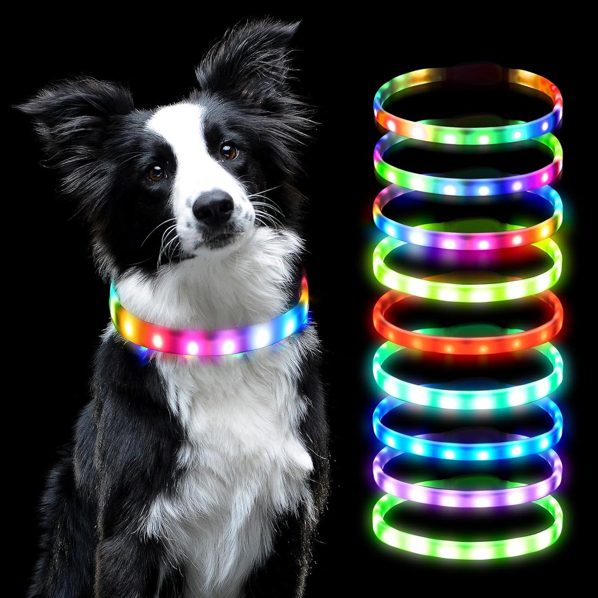 SnelShoppen - LED Hondenhalsband USB Oplaadbaar, Waterbestendig, Reflecterend, Verstelbaar, Multikleur, Perfect voor Nachtwandelingen, Camping en Avon