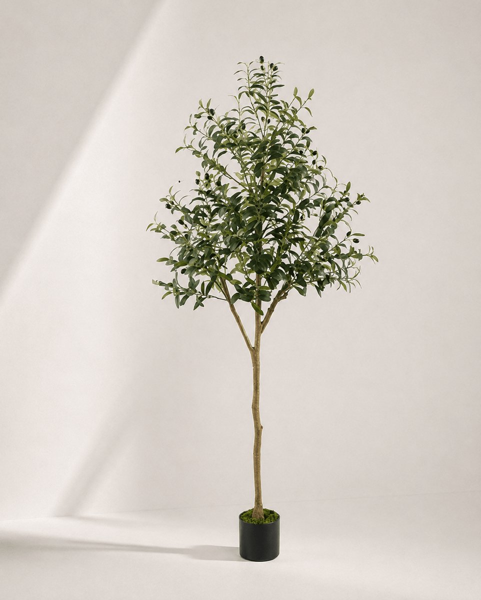 Kunstplant Olijfboom – 180 cm – Groen