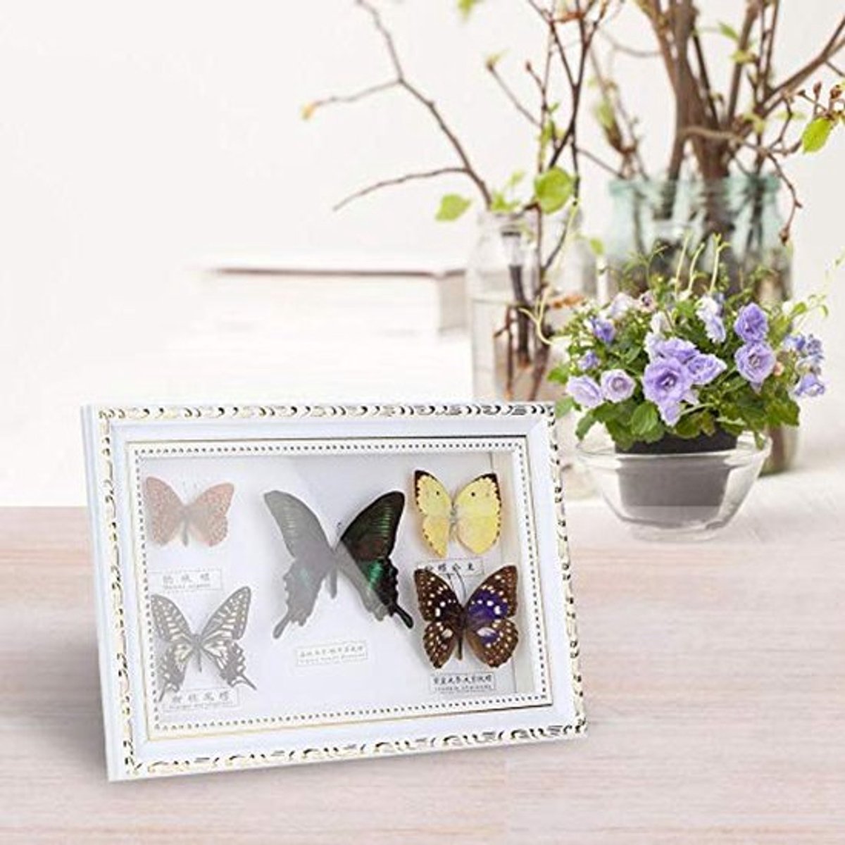 Exquisite Butterflies Monsters Royal Handicraft Framed Verjaardagscadeau Thuisdecoratie Ornament (Witte Lijst)