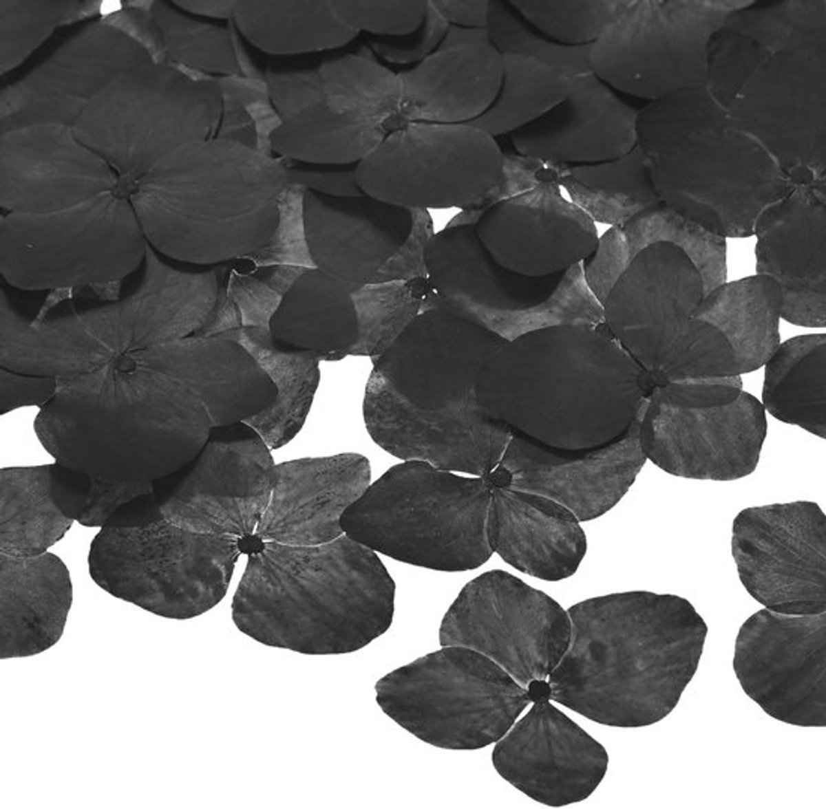 60 stuks gedroogde geperste bloemen voor hars, natuurlijke gedroogde bloemen groothandel voor ambachten / zeep / scrapbooking/kaarsen / epoxyhars benodigdheden [zwart]