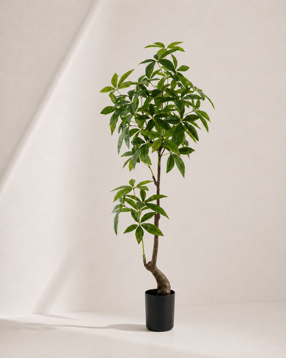 Kunstplant Pachira Macrocarpa – 150 cm – Groen