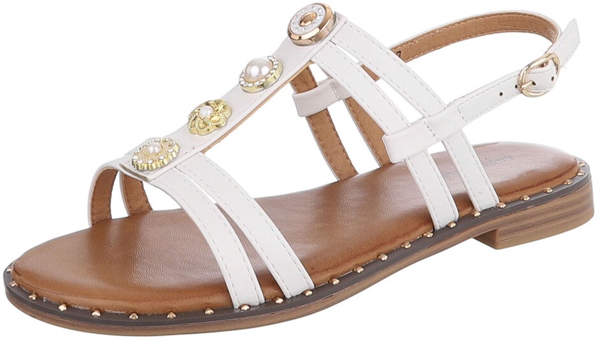 Dames sandalen - bandjes en gesp - dagelijks gebruik Mt:41