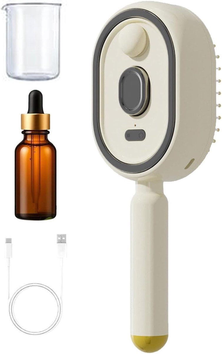 SnelShoppen - Elektrische Stoomborstel, Oplaadbare Stoom Haarstijlborstel met Spray, Antiklit & Anti-Frizz Haargereedschap voor Nat & Droog Haar - Voo