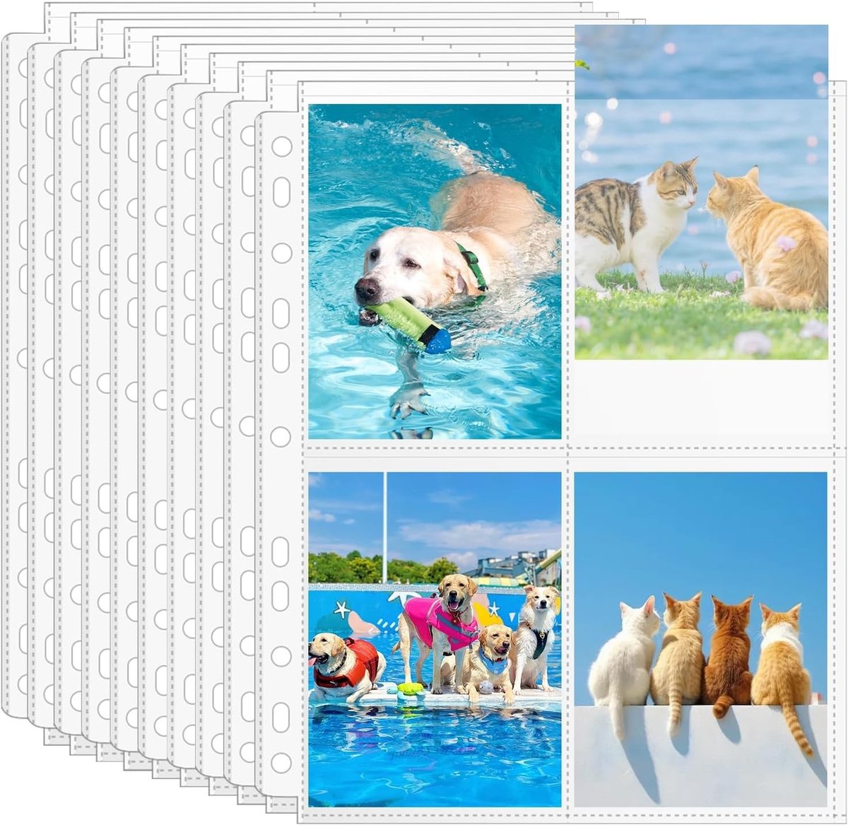 40 Stuks A4 Fotohoezen met 320 Vakken voor Foto's, Ansichtkaarten en Kleine Kaarten, Transparante Bescherming voor Archivering en Presentatie