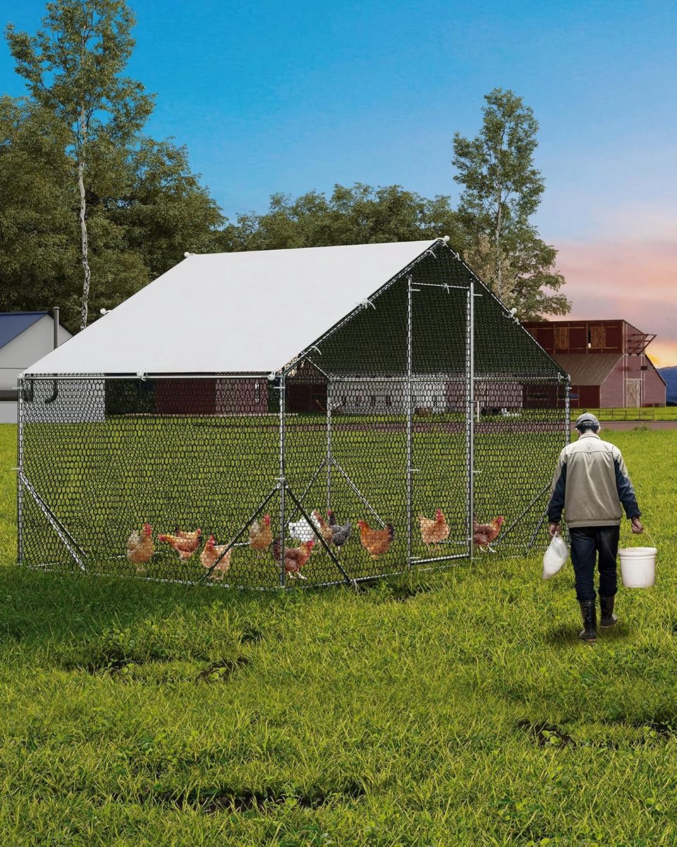 Groot metalen kippenhok met uitloop – Inloopbaar kippenhok – Kippenhok met uitloop en waterdichte en UV-bestendige afdekking – met veiligheidsslot – geschikt als kippenhok, eendenhok, hondenkennel of konijnenren - 300×200×200cm