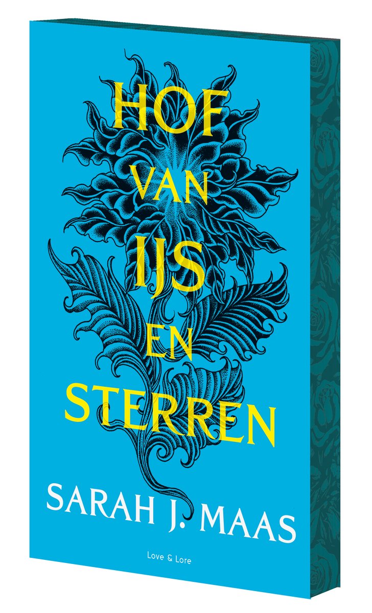 Omslag van Hof van ijs en sterren