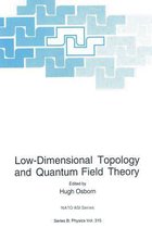 Low-Dimensional Topology and Quantum Field Theory