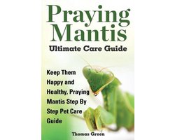 Praying Mantis Ultimate Care Guide