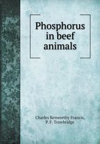 Phosphorus in beef animals