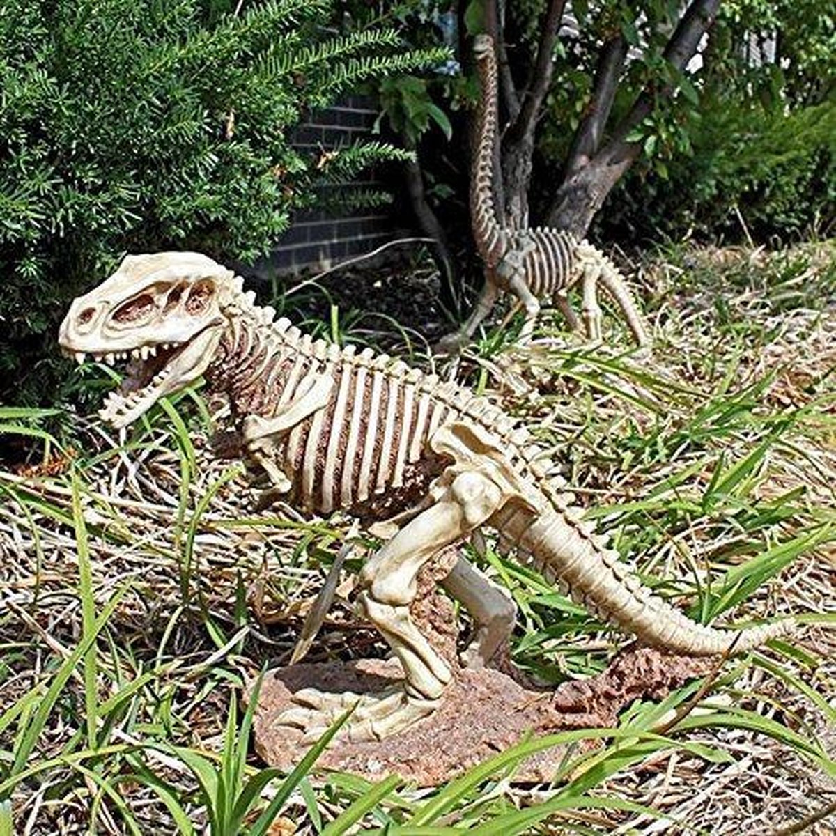 Design Toscano T-Rex dinosaurus skelet Tyranosaurus Rex - 36,5 cm hoog |  bol.com
