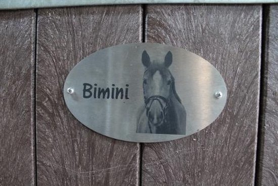 Stalbord Bimini met naam en foto - paard - Roestvrij staal