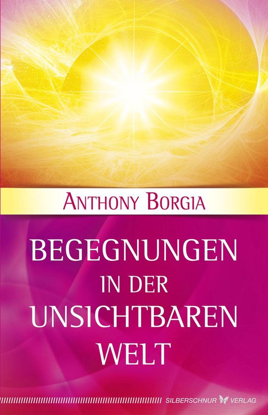 Begegnungen in der Unsichtbaren Welt - cover