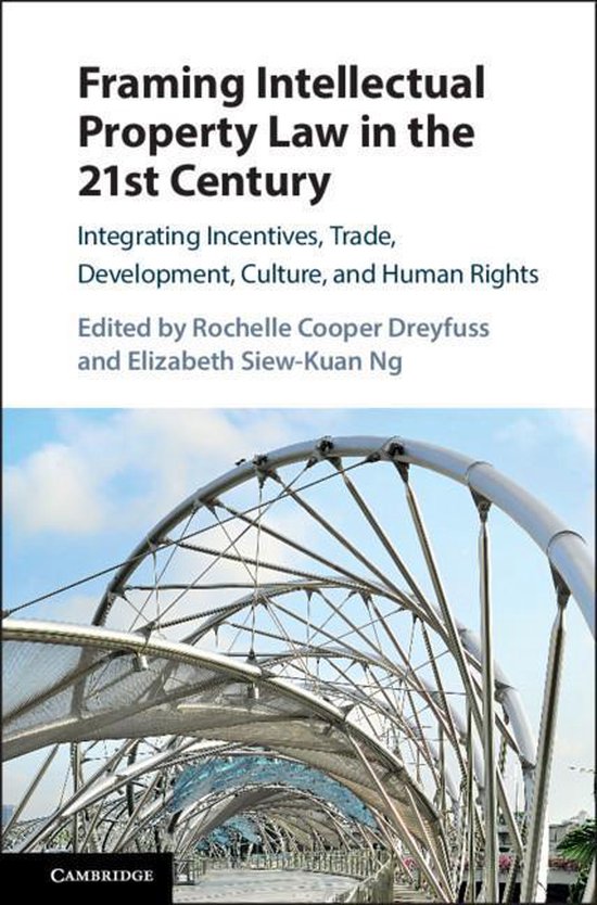 Omslag van Framing Intellectual Property Law in the 21st Century