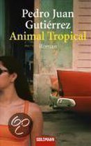 Animal Tropical