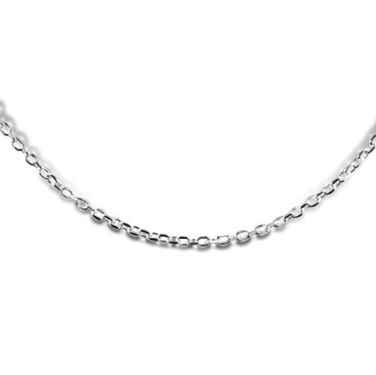 960100963 - Zilveren Collier - Anker Schakel met Lobstersluiting 2 mm - 43 cm - Zilverkleurig