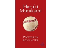 Profession romancier