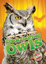 North American Animals - Great-horned Owls