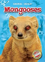 Animal Safari - Mongooses
