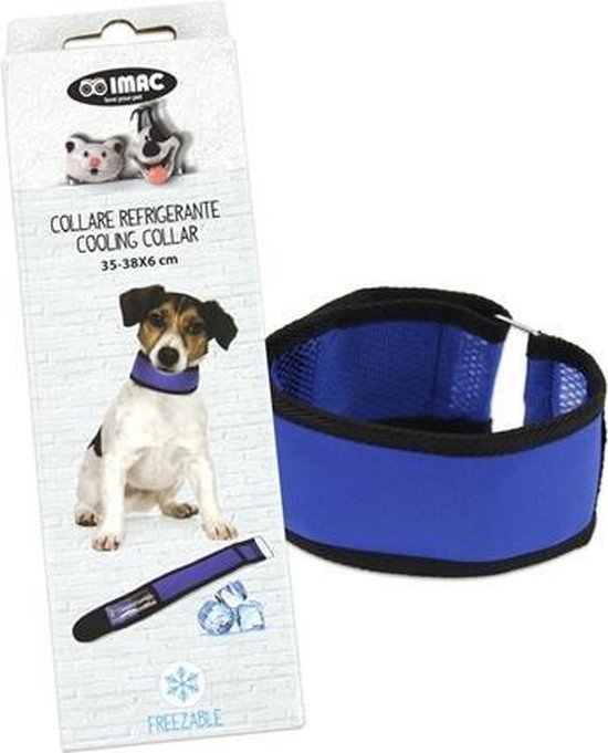 Oefening Kip Aanbeveling Cooling Halsband Voor Hond | bol.com