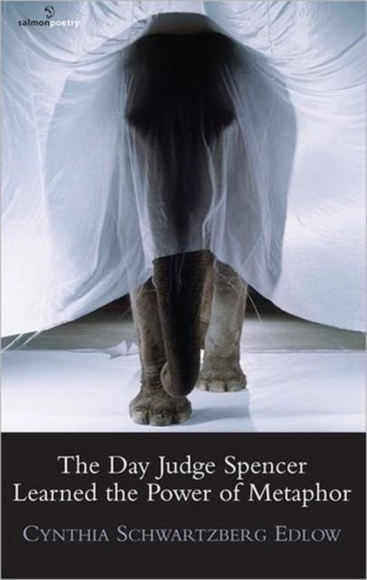 The Day Judge Spencer Learned the Power of Metaphor