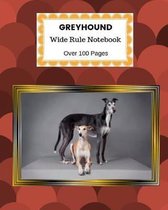 Greyhound