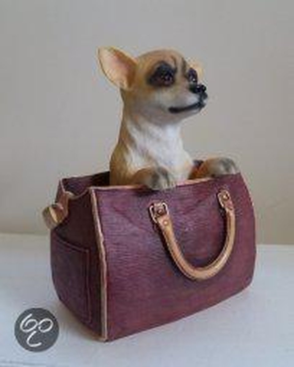 Decoratief beeld of figuur Hondenbeeldje Chihuahua in de tas bol.com