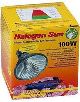 Lucky Reptile Halogen Sun - 100W