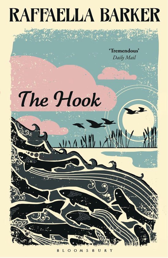 Boek cover The Hook van Raffaella Barker (Onbekend)