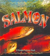 The Life Cycle of the Salmon