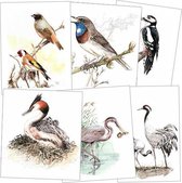 Danker-Jan Oreel - Vogel ansichtkaarten - Set-6