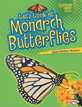 Lets Look at Monarch Butterflies