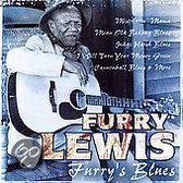 Furry'S Blues