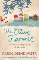 The Olive Harvest A Memoir of Love, Old Trees, and Olive Oil